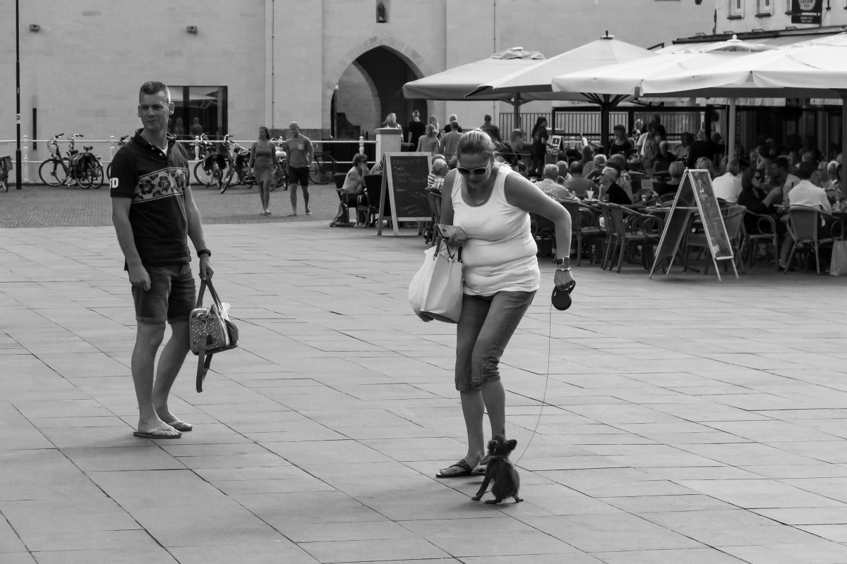 foto: [20160820PV5414]